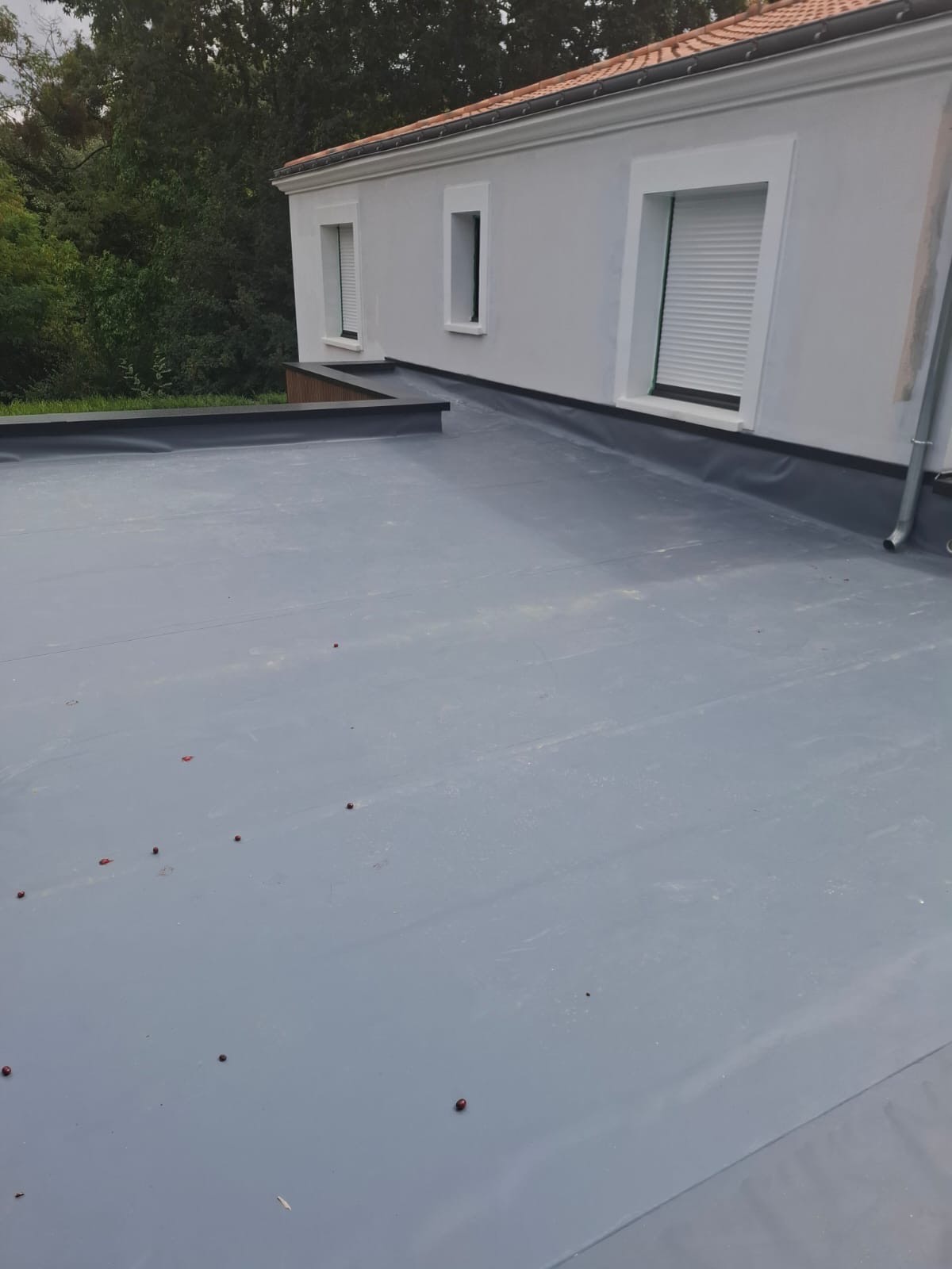 Étanchéité d’un toit-terrasse en membrane PVC réalisée par OTBE à Carquefou